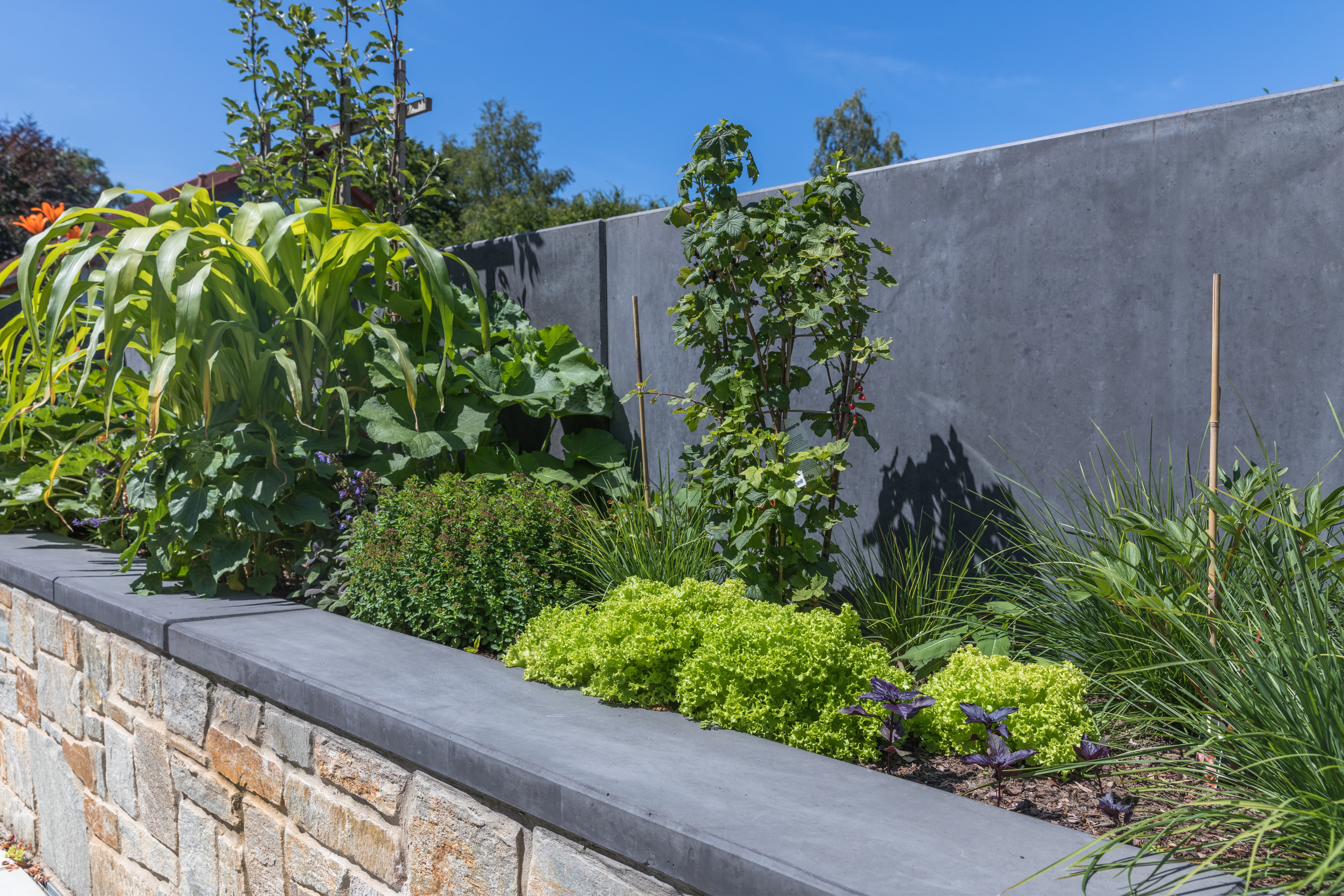 Kwietnik z ciemnoszarą betonową ścianą tylną