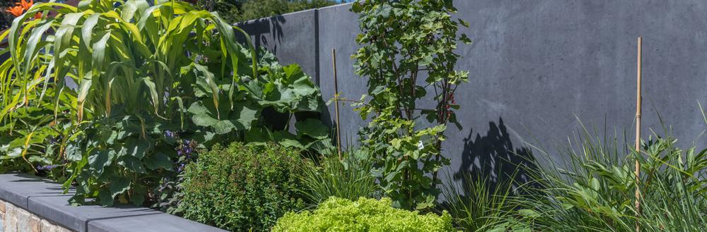 Winkelstützen Farbe Anthrazit Blumenbeet mit dunkelgrauer Betonrückwand