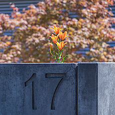 Winkelstütze Farbe Anthrazit mit Aussparung Winkelstütze Farbe Anthrazit mit Aussparung