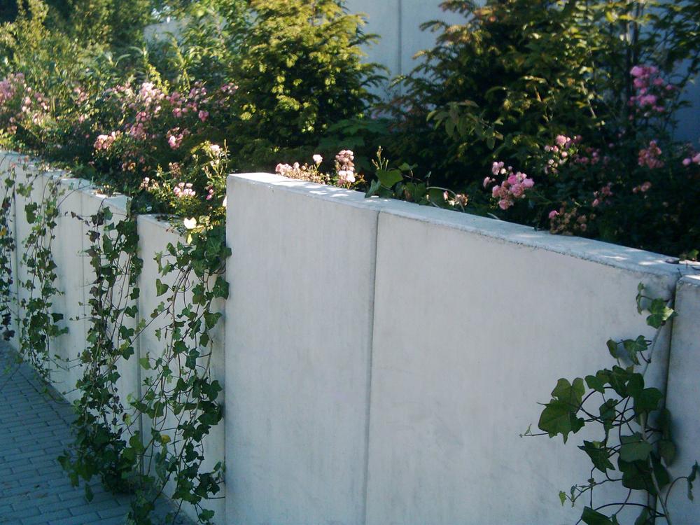 [Translate to Polski:] Winkelstützen an einem Hang mit Efeu