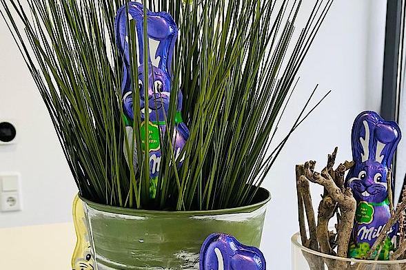 Ostergesteck mit Schokohasen