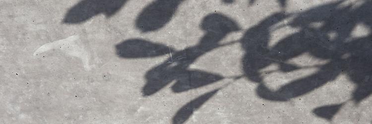 [Translate to Polski:] Schatten von Blättern auf einer Betonoberfläche