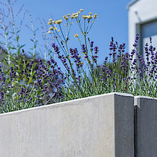 Winkelstütze Privant